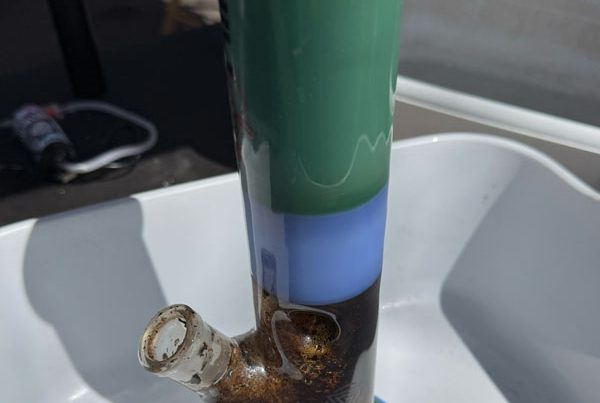 420-Bong-Cleaning-Halie